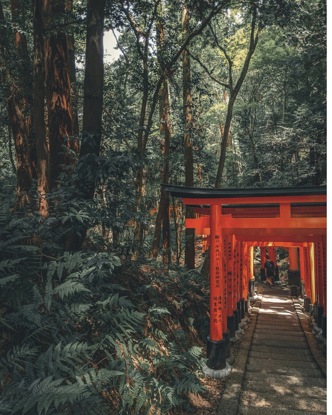 SÚPER JAPÓN EN UN VIAJE INOLVIDABLE