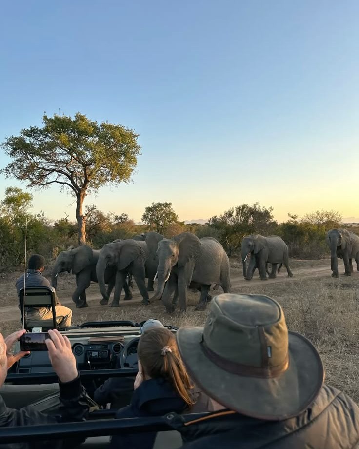 SUDÁFRICA INOLVIDABLE: CIUDAD, RUTA Y SAFARIS