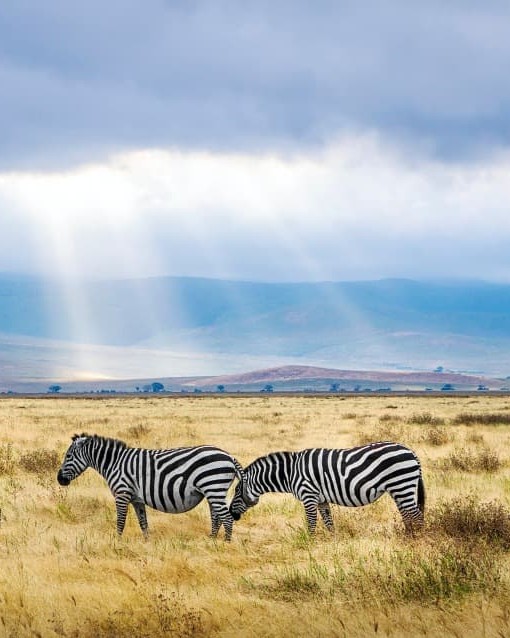 TANZANIA INOLVIDABLE Y ZANZIBAR